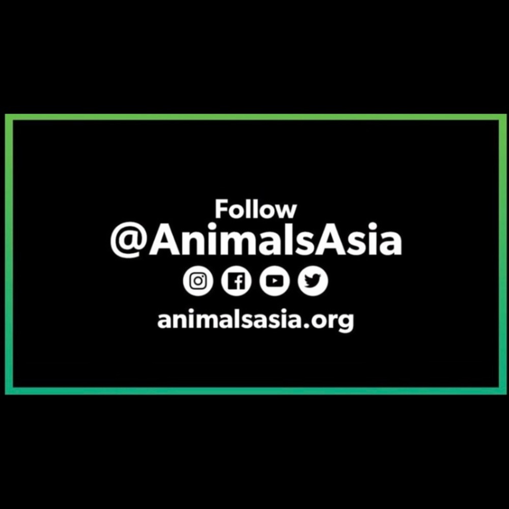 Creation and Critters